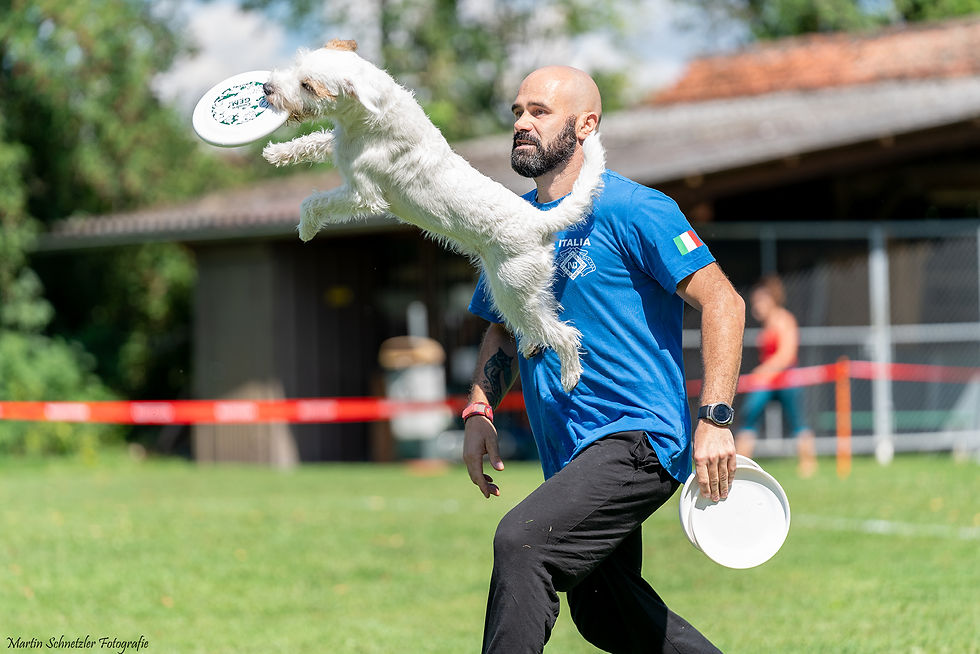 Hund | Shooting | Frisbee | Martin Schnetzler