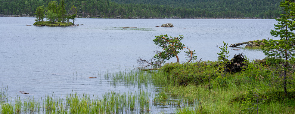 Skandinavien Reise von Rovaniemi nach Utsjok in Finnlandi