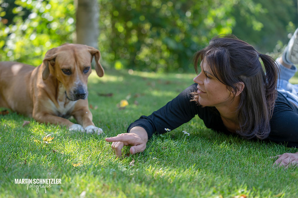 Hund | Shooting | Martin Schnetzler