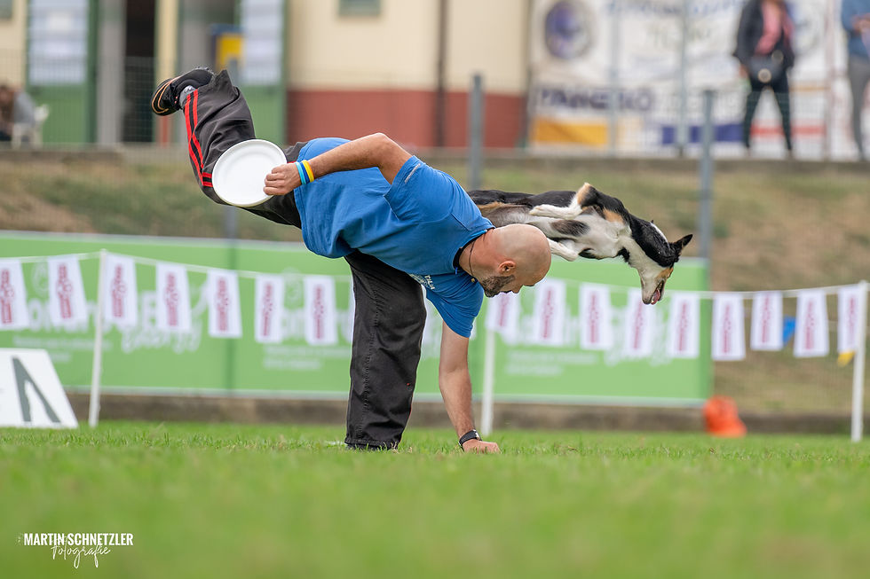 Hund | Shooting | Frisbee | Martin Schnetzler