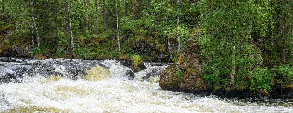Wanderweg Pieni Karhunkierros und die vielen Stromschnellen