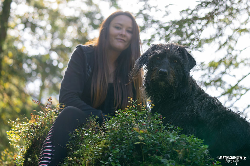 Hund | Hundeshooting | Martin Schnetzler