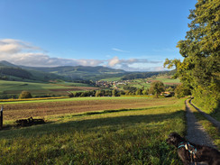 Camping Waldesruh | Fricktal | Wil | Aargau | Jurapark