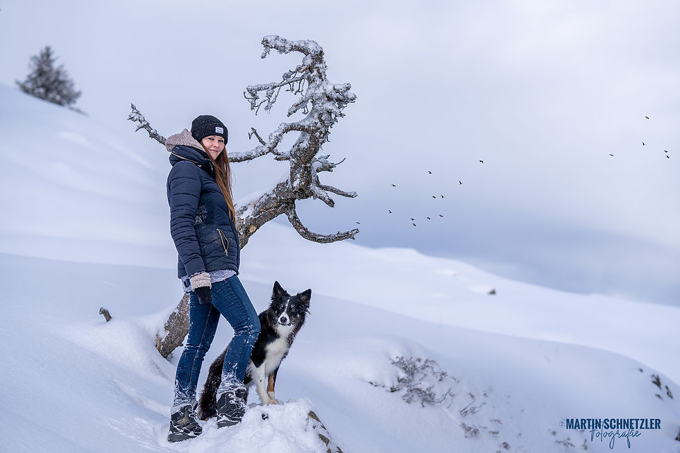 Hund | Hundeshooting | Martin Schnetzler