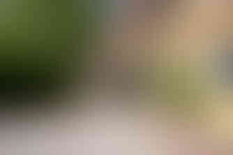 Stralsund | Hansestadt | Camping | Altefähr | Deutschland | Ostsee