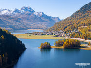 Drohne | Engadin | Landschaft | Silsersee | Lärchen | Goldene Lärchen