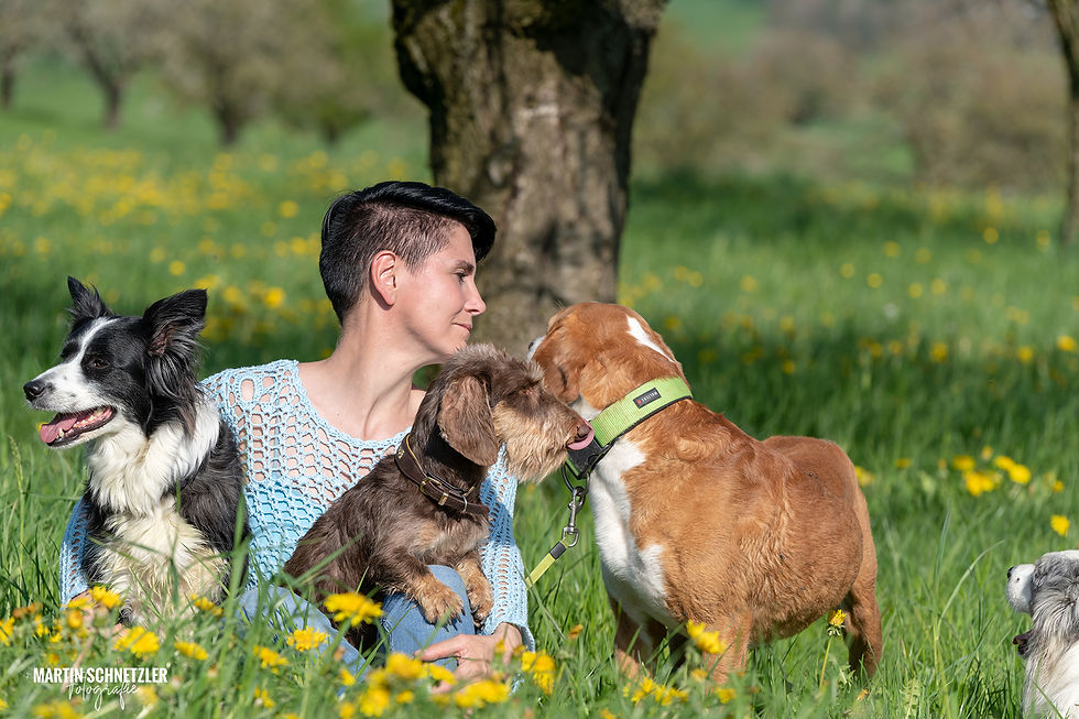 Hund | Shooting | Martin Schnetzler