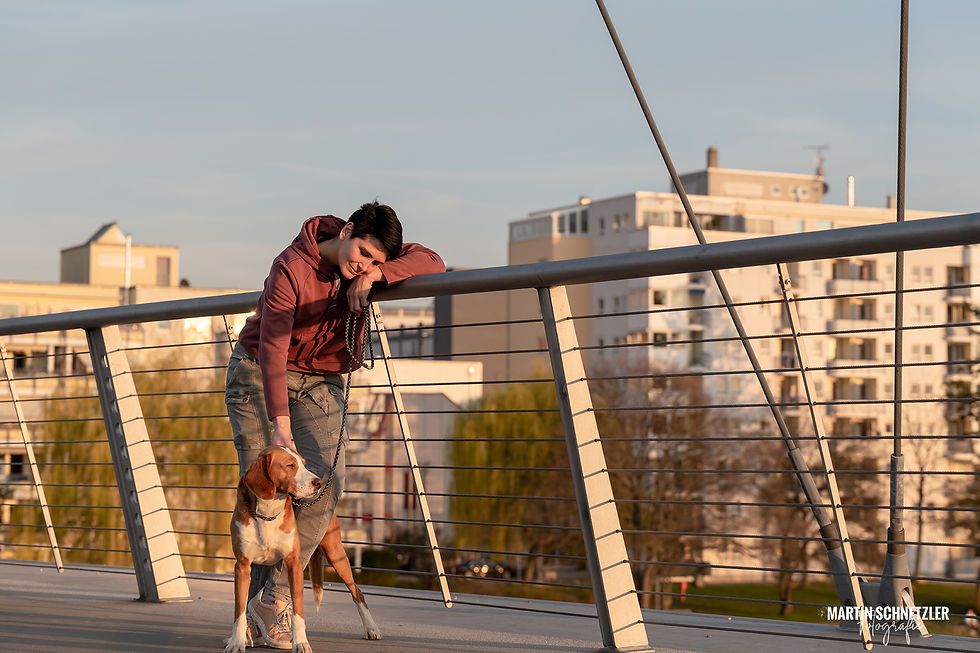 Hund | Hundeshooting | Martin Schnetzler