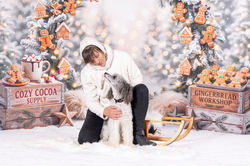 Hunde Shooting mit Weihnacht Deko im Hintergrund