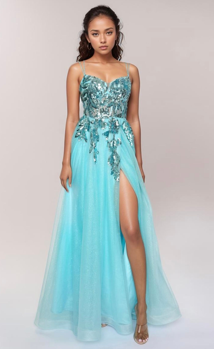 Nina Canacci Tulle & Sequin Long Formal Dress & Prom Dress