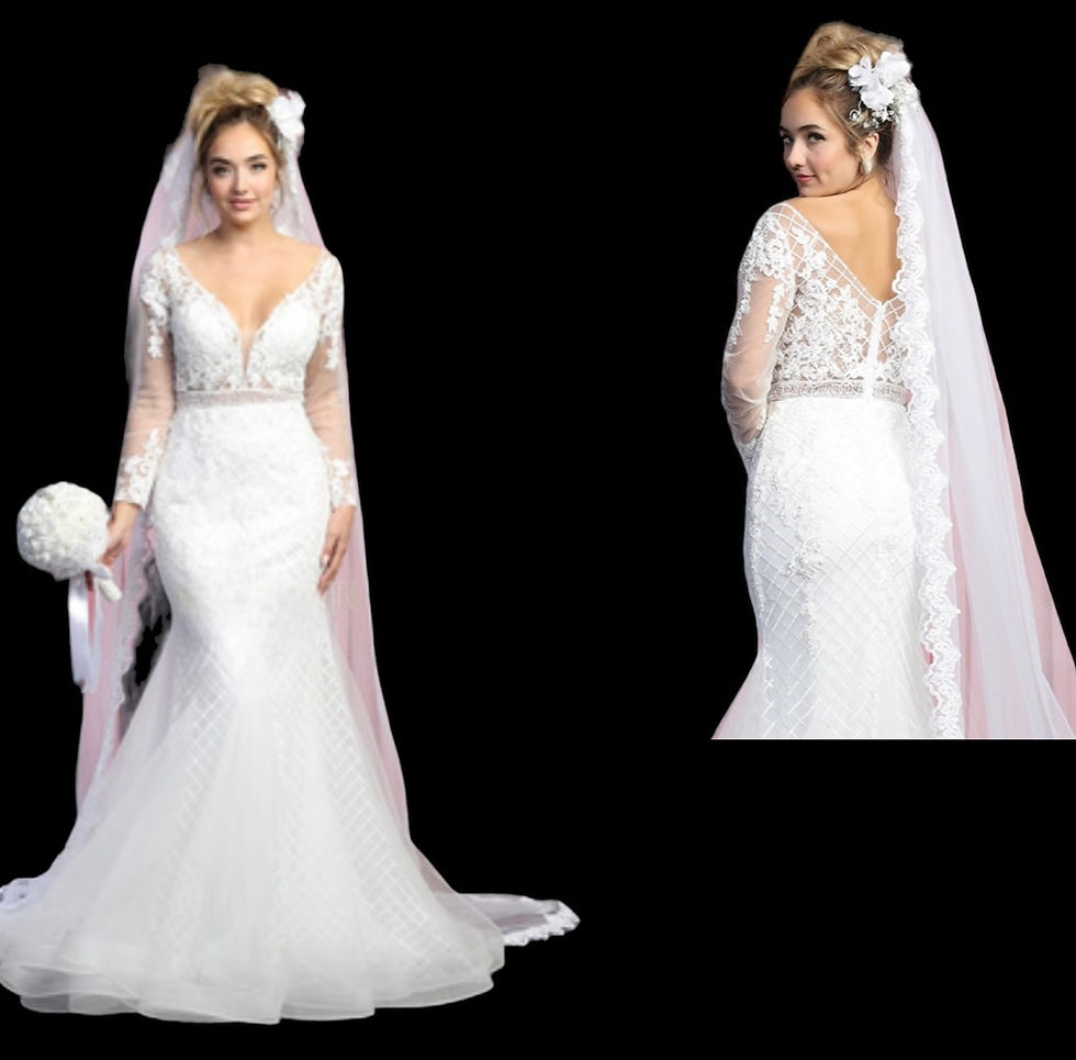 Ivory colored gown with lace & mesh sleeves Wedding Gown