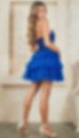 Thumbnail: Corset Bodice Layered Tulle Short Formal Dress & Homecoming Dress 