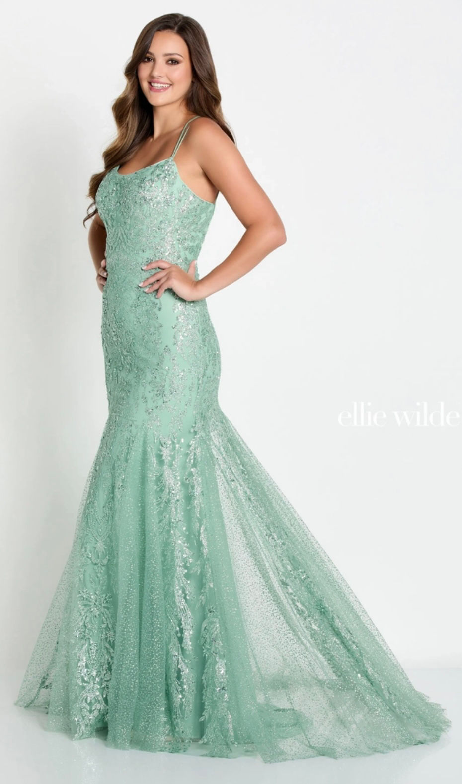 Ellie Wilde Fit & Flare Long Formal Dress & Prom Dress