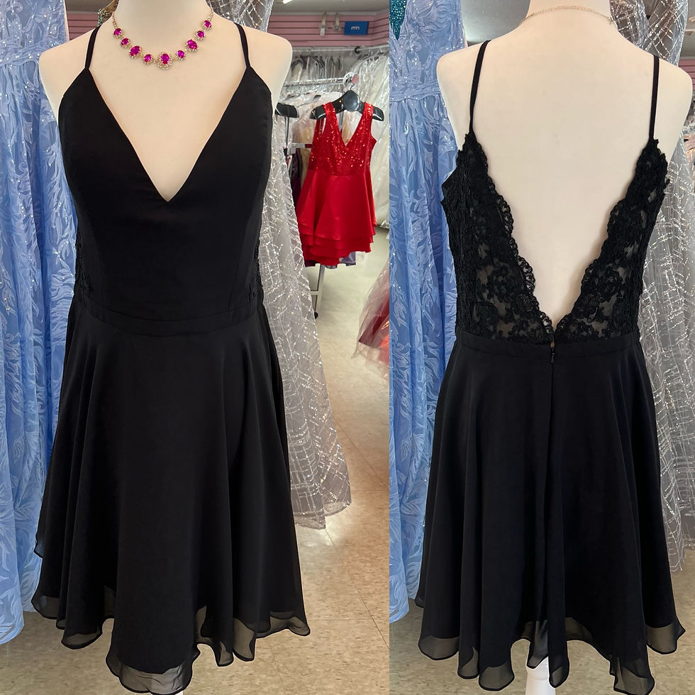 Lucci Lu By Abby Paris Short Formal/Semi-Formal Dress & Homecoming Dress