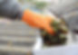 GUTTER_CLEANING