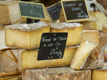 The Hidden Ingredient in Your Cheese: What to Know About GMO Rennet and How to Find the Real Thing