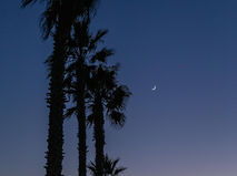 Healing With Color: The Psychology of Ventura’s Fall Palette