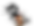 bPmhZf6Cfqh0tq7ok2WiGtZUc 1