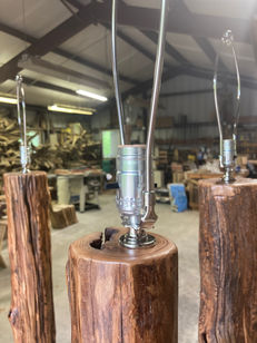 Lamp Locust 6.jpg