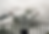 hoodie-mockup-of-a-man-making-a-victory-pose-at-the-top-of-a-mountain-41105-r-el2.png