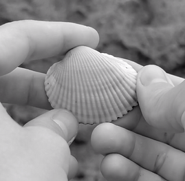 Screenshot 2024-08-19 at 21.31.33.png