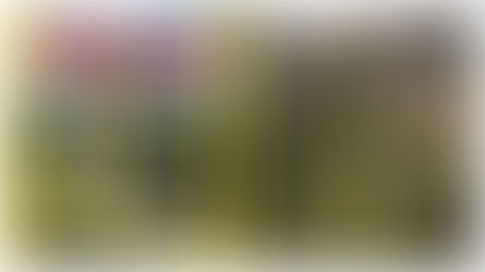 Machu Picchu deslumbra en la portada de National Geographic