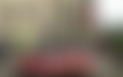 Embajada peruana en Washington abrió sus puertas a miles de visitantes