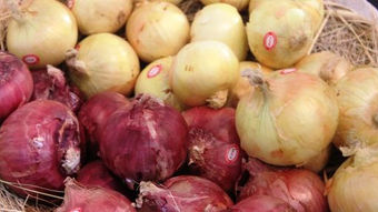 Perú recupera el mercado colombiano para sus envíos de cebolla