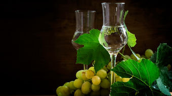 ADEX sugiere al gobierno pedir la organización del Concurso Mundial de Bruselas