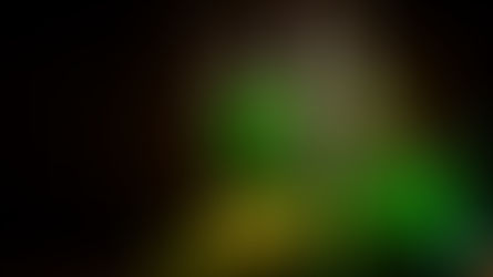 ADEX sugiere al gobierno pedir la organización del Concurso Mundial de Bruselas