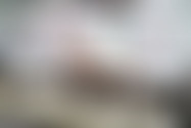 Francesa Pronatura interesada en frutas orgánicas y deshidratadas