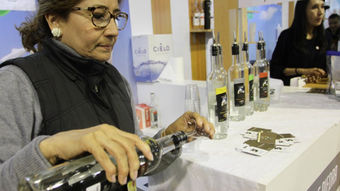 Inicia el Concurso Nacional del Pisco en Moquegua