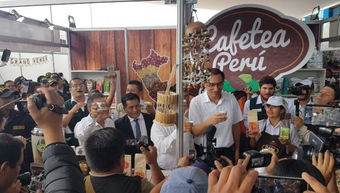 Pasco: Culminó Ficafé 2017