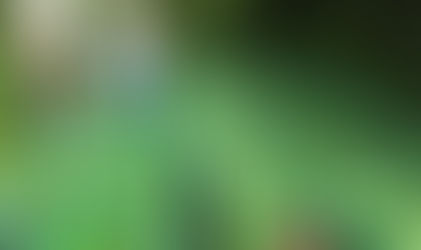 Exportaciones lambayecanas llegan a 56 países del mundo