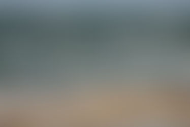 Paracas, el desierto peruano que está de moda