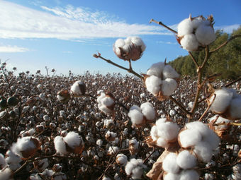 Empresas extranjeras buscan cerrar negocios con empresarios textiles peruanos