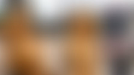 No hubo autorización para pintar esculturas del By-pass 28 de julio