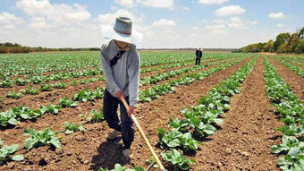 Exportaciones agrarias crecieron 5.6%