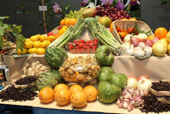 Adex: Exportaciones a Rusia sumaron casi US$ 17 millones en el primer bimestre del año