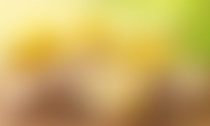 Té de kion ayuda a curar la gripe y los resfríos, ¿cómo prepararlo?