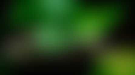 La uña de gato ayuda a subir las defensas