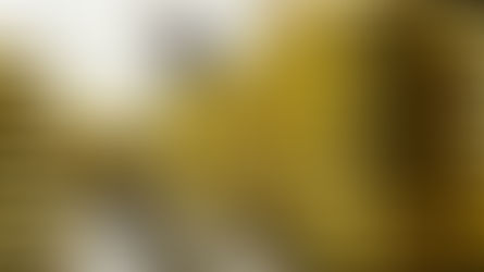 Esto es lo que le compra y le vende el Perú a los Estados Unidos