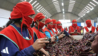 La actividad exportadora peruana generó 833,385 puestos de trabajo