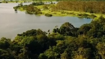 Perú promociona en Chile turismo de la Amazonía