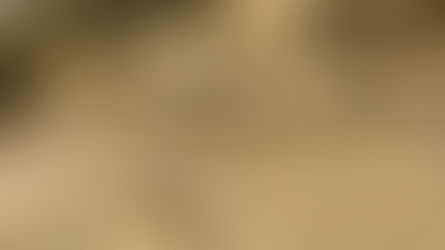 El descubrimiento del año: Hallan "Pirámide Inca" en Recuay