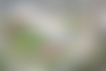 Lima 2019: los avances a menos de 100 días de su inauguración