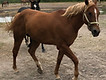 IMG_0081.JPG
