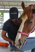woman feeding a horse