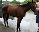 IMG_1279.JPG