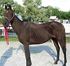 IMG_6339 - Copy.JPG